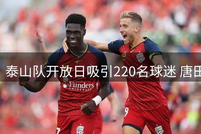 泰山队开放日吸引220名球迷 唐田真情流露获赞