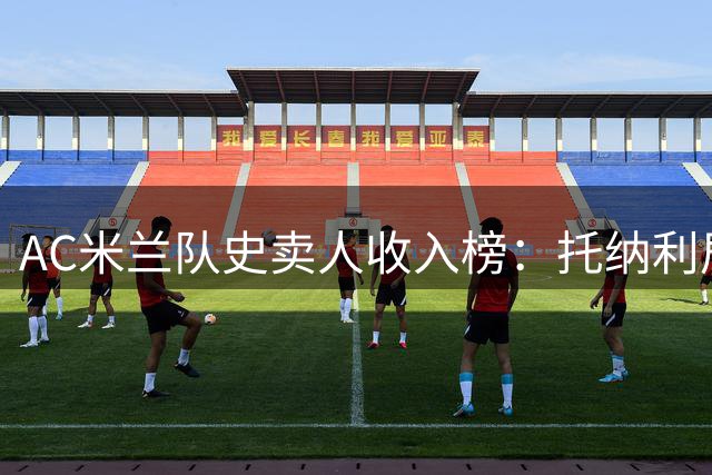 AC米兰队史卖人收入榜：托纳利居首，卡卡次席，莱奥第四